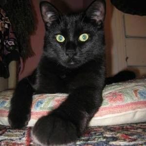 Meet your Posher, Julia